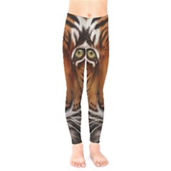 The Tiger Face Kids  Legging