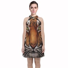 The Tiger Face Velvet Halter Neckline Dress 