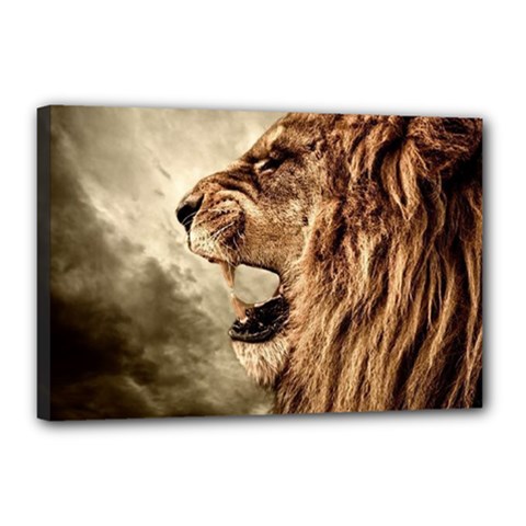 Roaring Lion Canvas 18  X 12  by Celenk