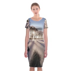 Winter Lake Cold Wintry Frozen Classic Short Sleeve Midi Dress by Celenk