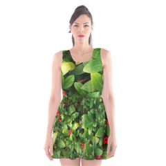 Christmas Season Floral Green Red Skimmia Flower Scoop Neck Skater Dress by yoursparklingshop