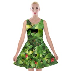 Christmas Season Floral Green Red Skimmia Flower Velvet Skater Dress by yoursparklingshop