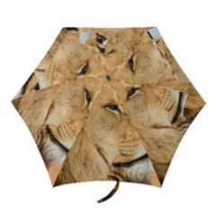 Big Male Lion Looking Right Mini Folding Umbrellas by Ucco