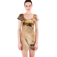 Big Male Lion Looking Right Short Sleeve Bodycon Dress by Ucco