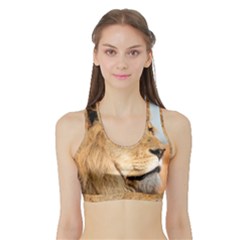 Big Male Lion Looking Right Sports Bra With Border by Ucco