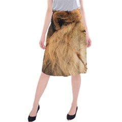 Big Male Lion Looking Right Midi Beach Skirt