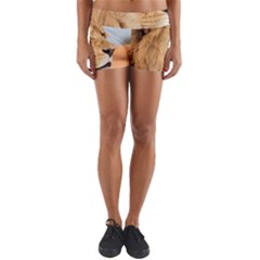 Big Male Lion Looking Right Yoga Shorts by Ucco