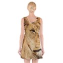 Big male lion looking right V-Neck Sleeveless Skater Dress View2