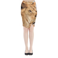 Big Male Lion Looking Right Midi Wrap Pencil Skirt by Ucco