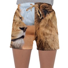 Big Male Lion Looking Right Sleepwear Shorts by Ucco