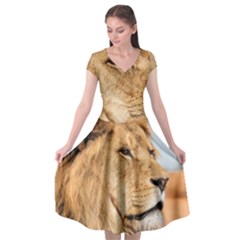 Big Male Lion Looking Right Cap Sleeve Wrap Front Dress by Ucco