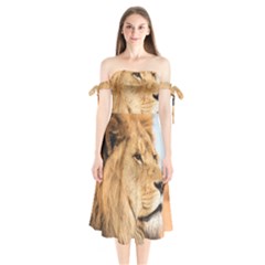 Big Male Lion Looking Right Shoulder Tie Bardot Midi Dress