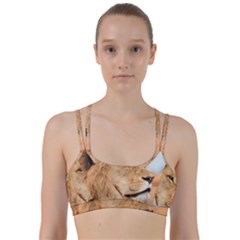 Big Male Lion Looking Right Line Them Up Sports Bra by Ucco