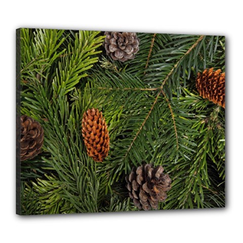 Branch Christmas Cone Evergreen Canvas 24  X 20  by Celenk