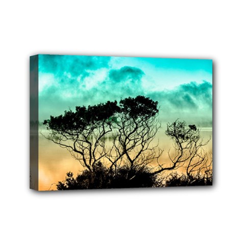 Trees Branches Branch Nature Mini Canvas 7  X 5  by Celenk