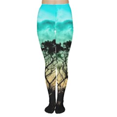 Trees Branches Branch Nature Women s Tights