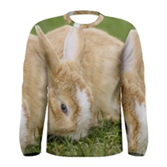 Beautiful Blue Eyed Bunny On Green Grass Men s Long Sleeve Tee by Ucco