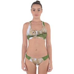 Beautiful Blue Eyed Bunny On Green Grass Cross Back Hipster Bikini Set by Ucco