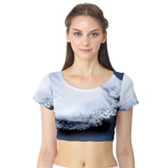 Ice, Snow And Moving Water Short Sleeve Crop Top by Ucco