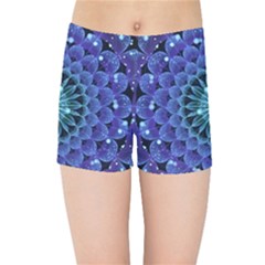 Accordant Electric Blue Fractal Flower Mandala Kids Sports Shorts by jayaprime