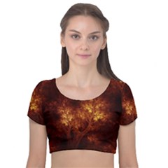 Artsy Brown Trees Velvet Short Sleeve Crop Top  by allthingseveryone