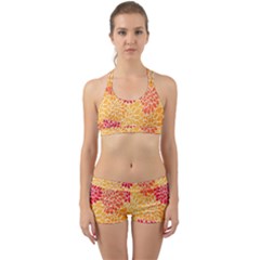 Abstract Art Background Colorful Back Web Sports Bra Set by Celenk