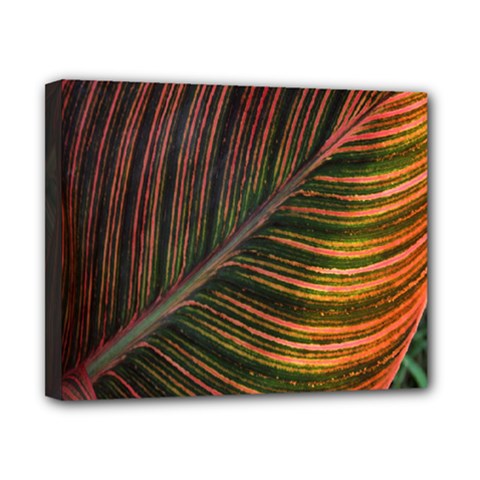 Leaf Colorful Nature Orange Season Canvas 10  X 8  by Celenk