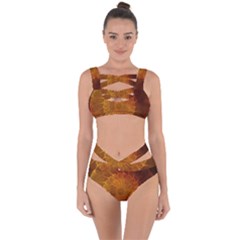 Orange Warm Hues Fractal Chaos Bandaged Up Bikini Set  by Celenk