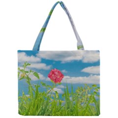 Beauty Nature Scene Photo Mini Tote Bag by dflcprints