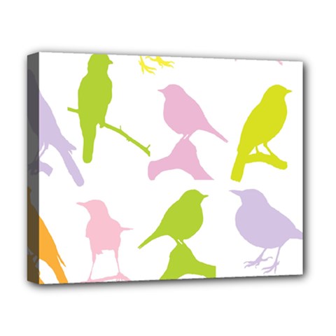 Birds Colourful Background Deluxe Canvas 20  X 16   by Celenk