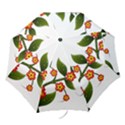 Flower Branch Nature Leaves Plant Folding Umbrellas View1