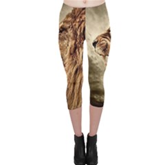 Roaring Lion Capri Leggings 