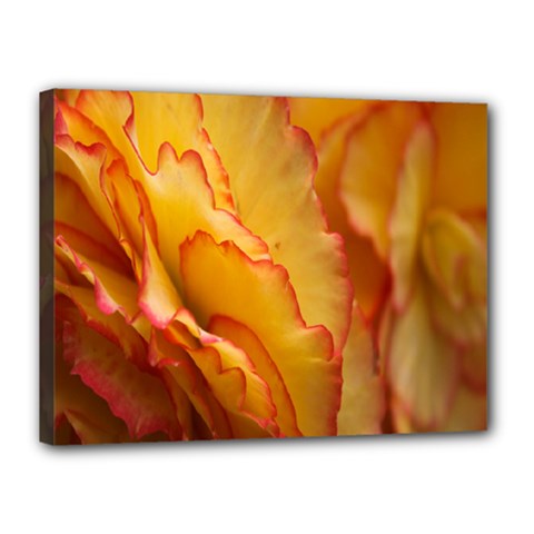 Flowers Leaves Leaf Floral Summer Canvas 16  X 12 