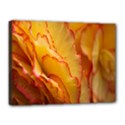 Flowers Leaves Leaf Floral Summer Canvas 16  x 12  View1