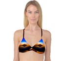 Crater Lake Oregon Mountains Reversible Tri Bikini Top View3