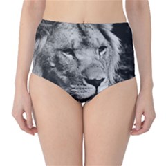 Africa Lion Male Closeup Macro High-waist Bikini Bottoms