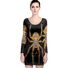 Insect Macro Spider Colombia Long Sleeve Bodycon Dress