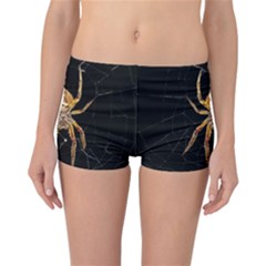 Insect Macro Spider Colombia Reversible Boyleg Bikini Bottoms