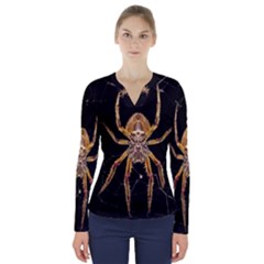Insect Macro Spider Colombia V-neck Long Sleeve Top
