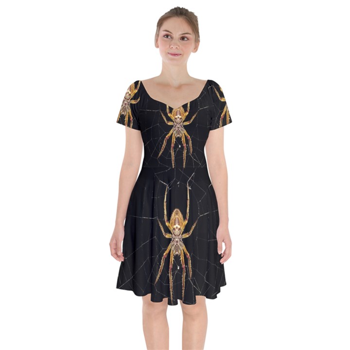 Insect Macro Spider Colombia Short Sleeve Bardot Dress