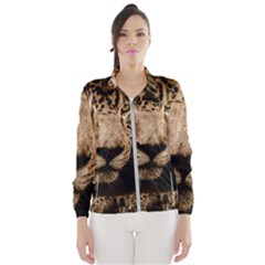 Jaguar Water Stalking Eyes Wind Breaker (women)