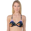 Landscape Fog Mist Haze Forest Reversible Tri Bikini Top View1