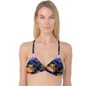 Landscape Fog Mist Haze Forest Reversible Tri Bikini Top View3