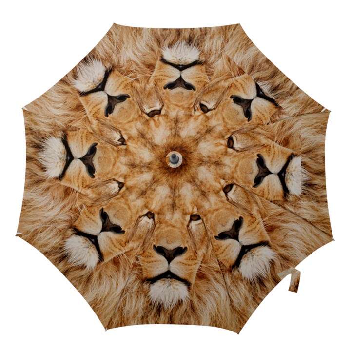 Africa African Animal Cat Close Up Hook Handle Umbrellas (Medium)