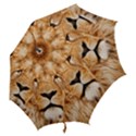 Africa African Animal Cat Close Up Hook Handle Umbrellas (Medium) View2