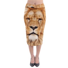 Africa African Animal Cat Close Up Midi Pencil Skirt