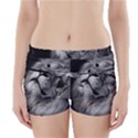 Feline Lion Tawny African Zoo Boyleg Bikini Wrap Bottoms View1