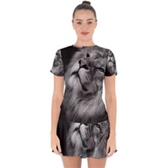 Feline Lion Tawny African Zoo Drop Hem Mini Chiffon Dress