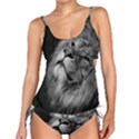 Feline Lion Tawny African Zoo Tankini Set View1