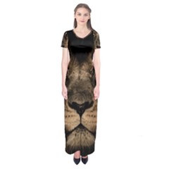 African Lion Mane Close Eyes Short Sleeve Maxi Dress